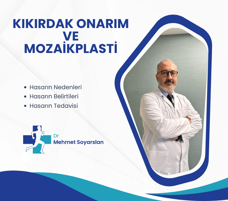 Kikirdak Onarim ve Mozaikplasti