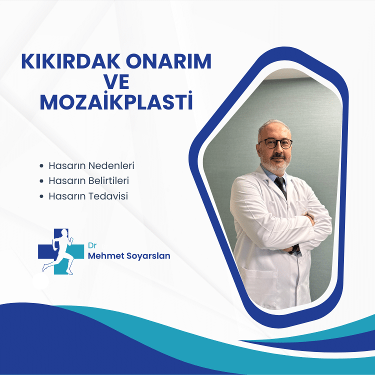 Kikirdak Onarim ve Mozaikplasti